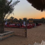 Dubai: Sunset Desert Safari Tour + BBQ Dinner + Camel Ride + Roundtrip Transfer