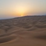 Unique SUNRISE Buggy Red Dunes Safari