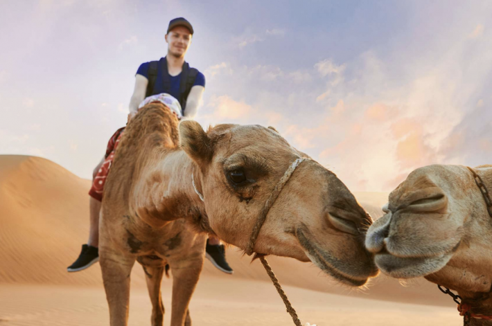 Dubai Desert Discovery: Red Dunes Safari, Sandboard & Camel Ride