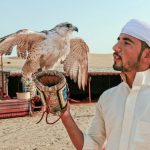 Dubai Desert Journey: Red Dunes Safari with BBQ in Bedouin Camp
